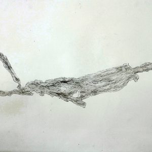 11P - 8 - 13