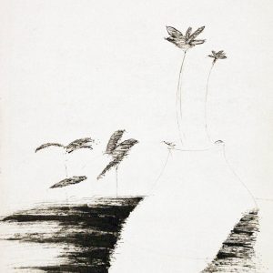 244 - Untitled