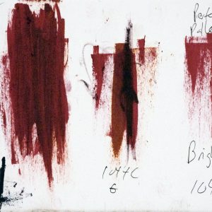 269 - Perfect Pallette Bright Red 1044C