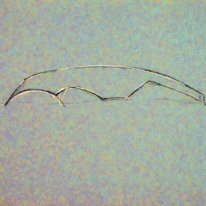 295 - Untitled