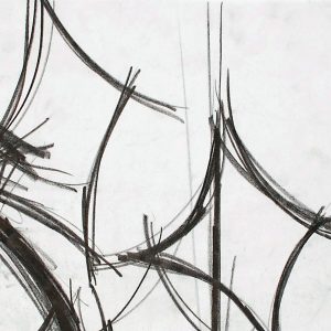 339 - Untitled