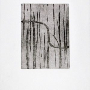 41 - Untitled