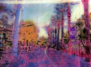 446 - Untitled