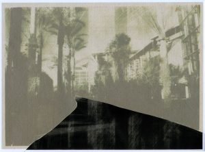 447 - Untitled
