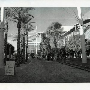 477 - Untitled