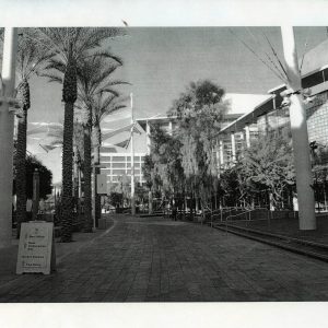 478 - Untitled