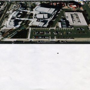 482 - Untitled