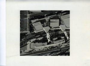 499 - Untitled