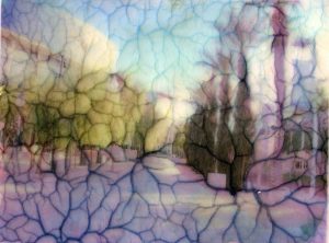 528 - Untitled