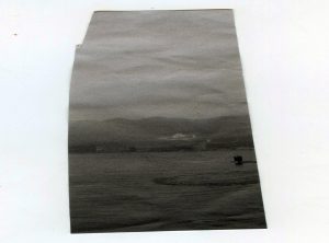 556 - Untitled